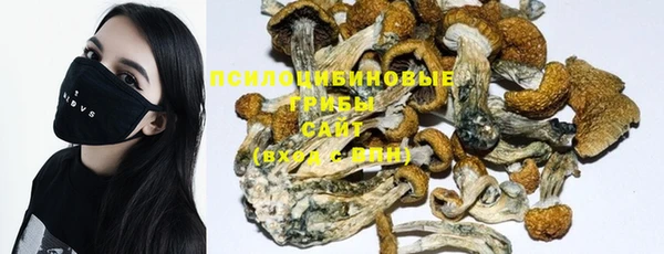 прущая мука Балахна